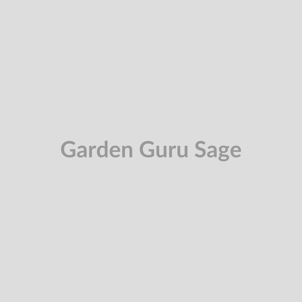 Garden Guru AI Teddy Bear — Sage (Classic 14in) plush toy